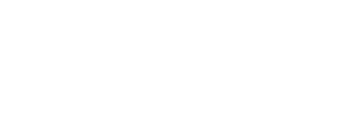 Brankin Logo